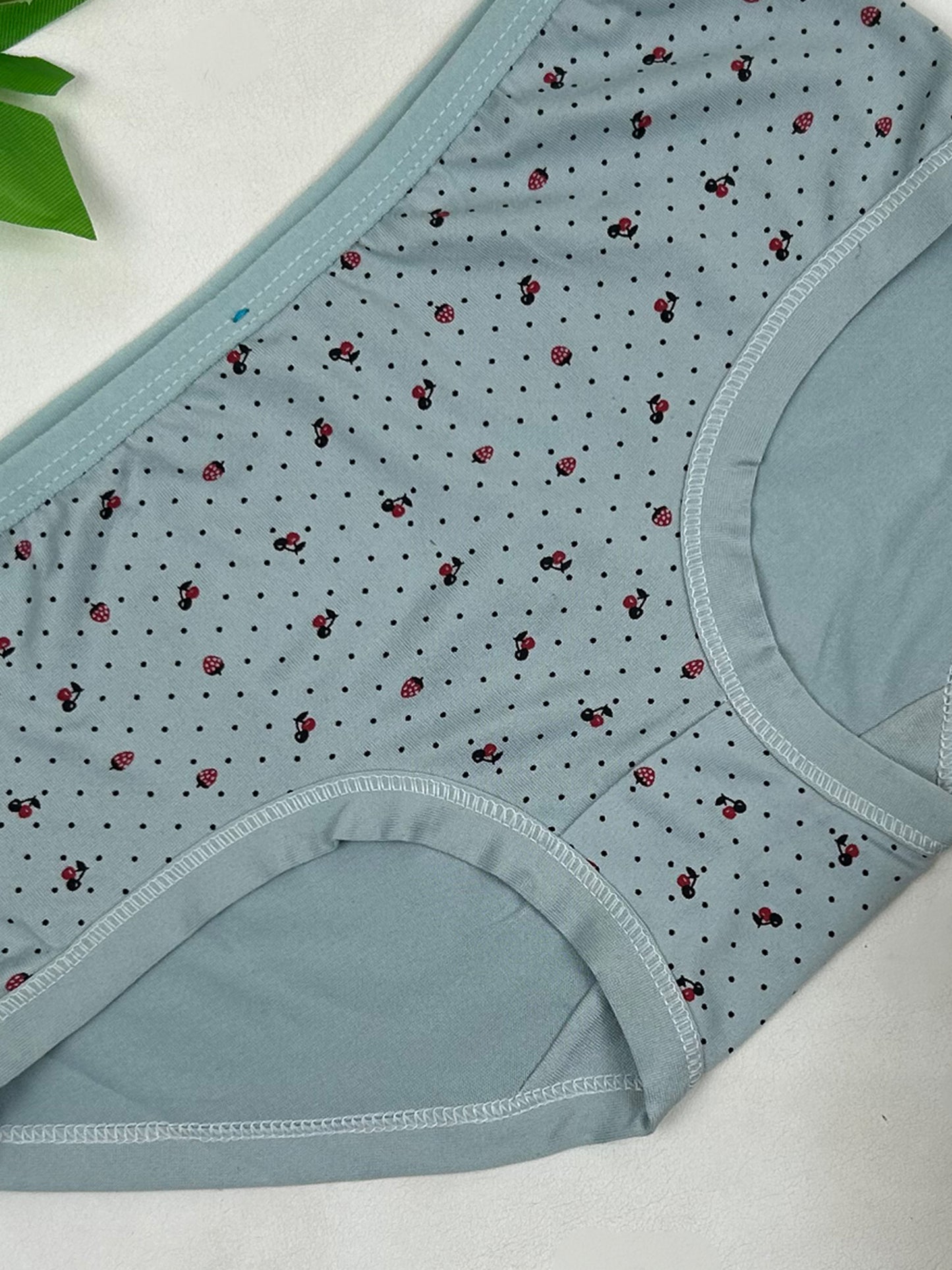Multicolor Panty For Women LP22