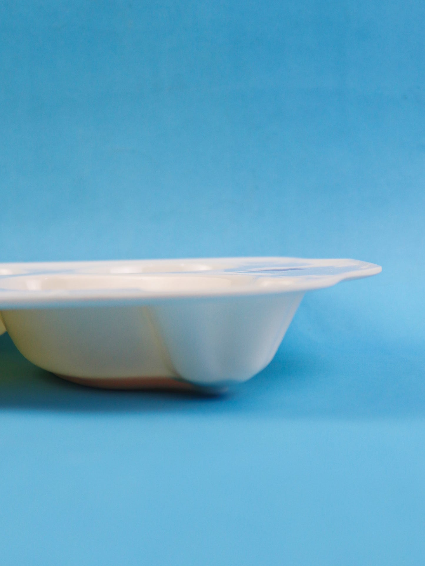 Cat 4-Compartment Melamine Tray
