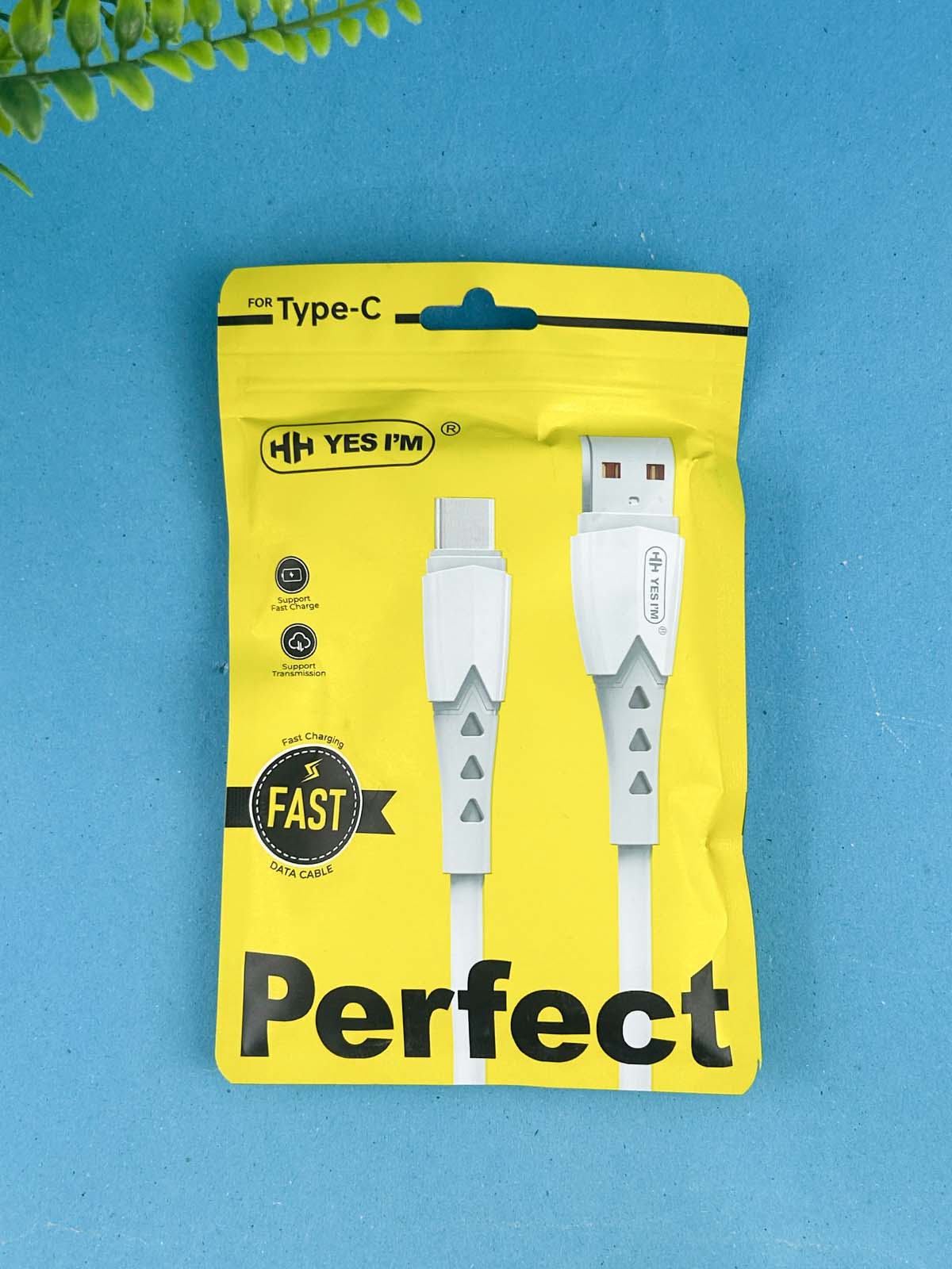 Perfect Type C Cable For Fast Charge MA101