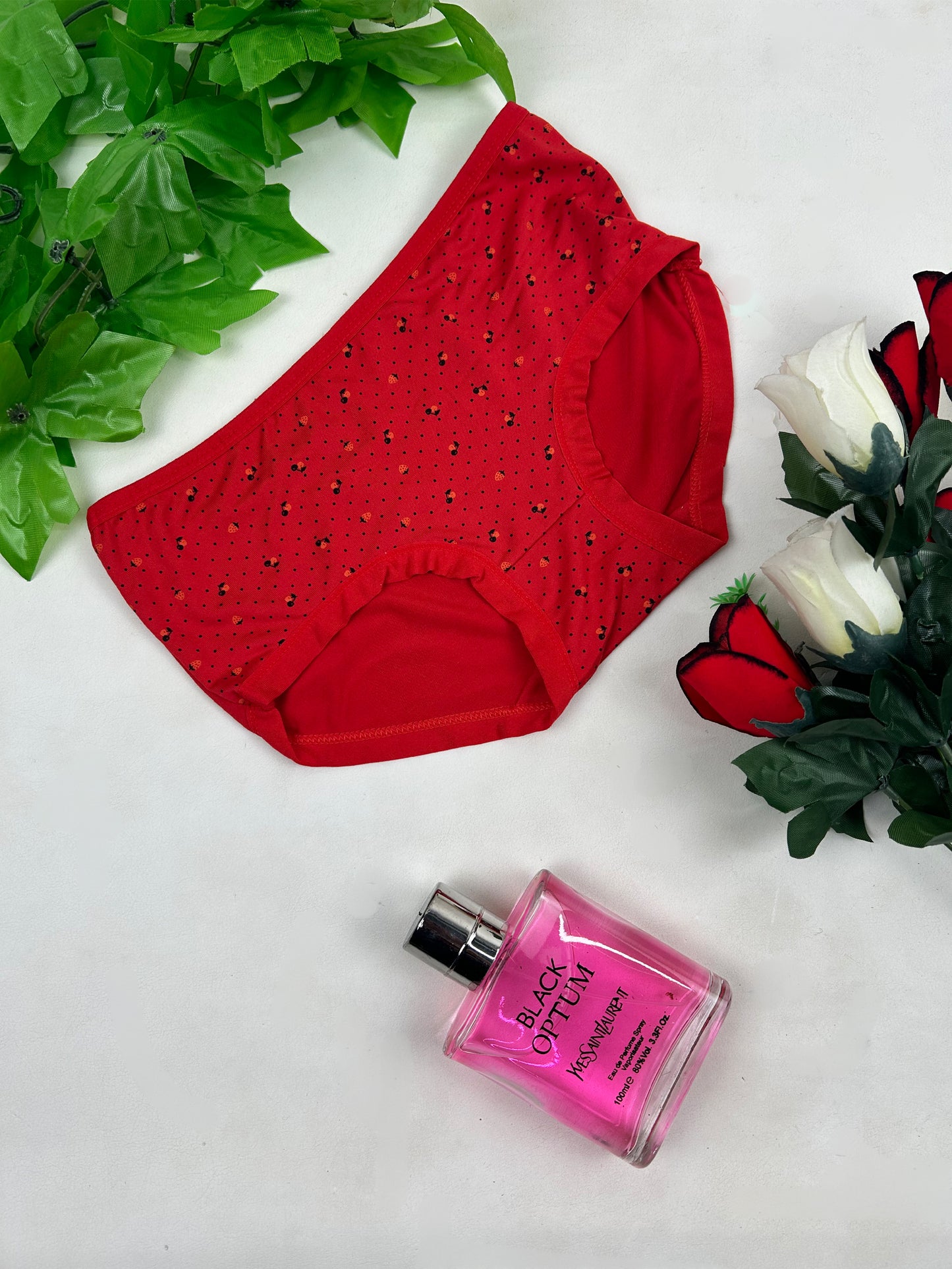 Multicolor Panty For Women LP22