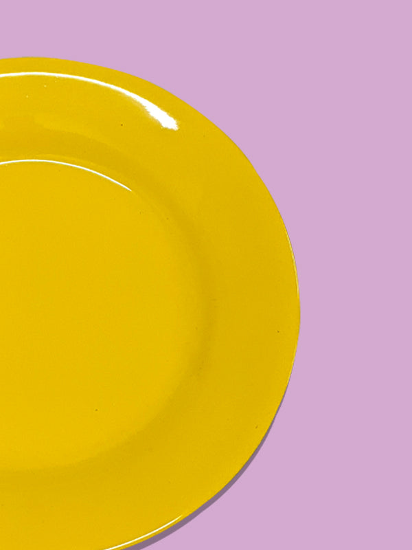 Melamine Double Glazed Plates MP14