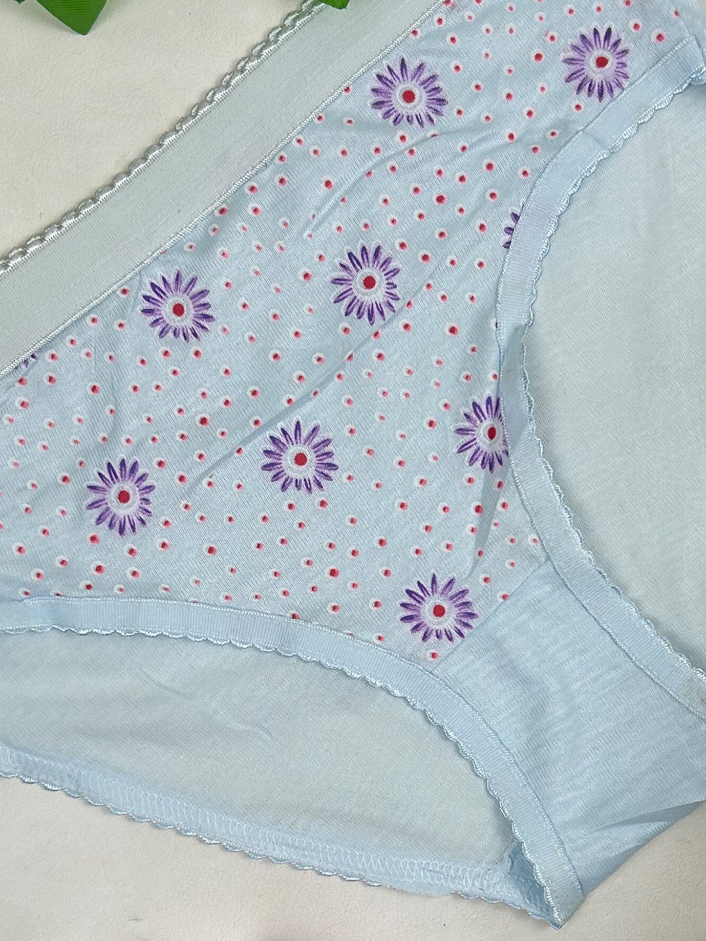 Multicolor Panty For Women LP27