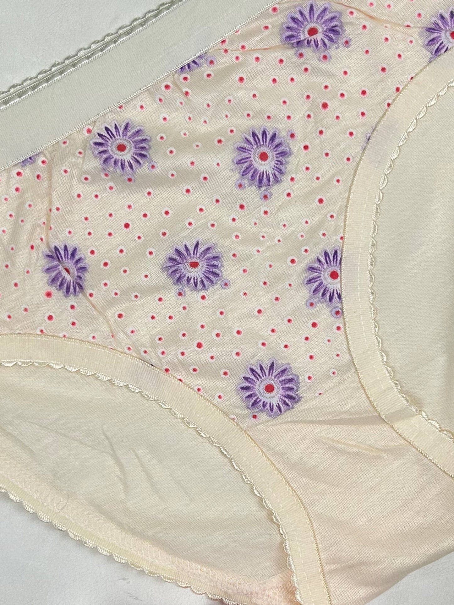 Multicolor Panty For Women LP27