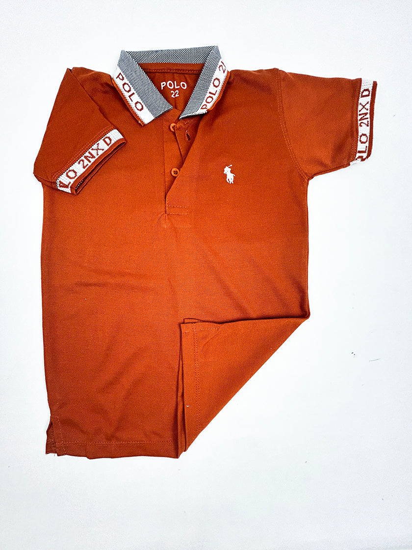 4Yrs - 8Yrs Burnt Orange Polo T-Shirt For Boys BTS84