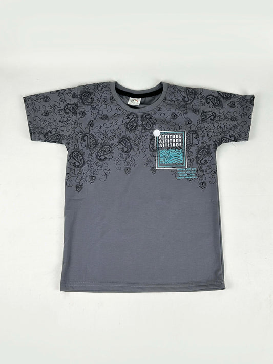 4Yrs - 9Yrs Change Grey T-Shirt For Boys SF BTS93