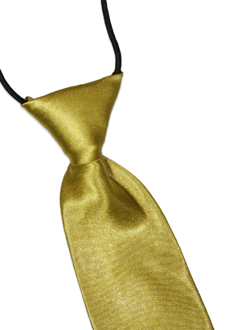 Boys Elastic Tie 9.5 Inches Golden