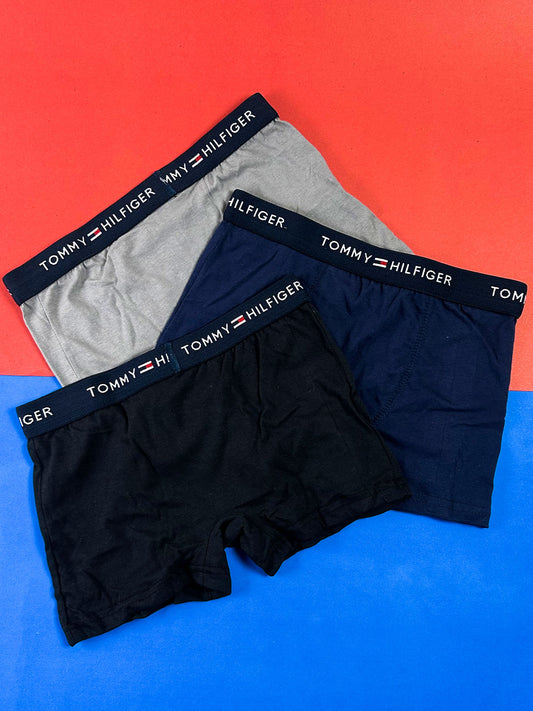 Pack of 3 TH Cotton Stretch Boxer Briefs For Men MU21