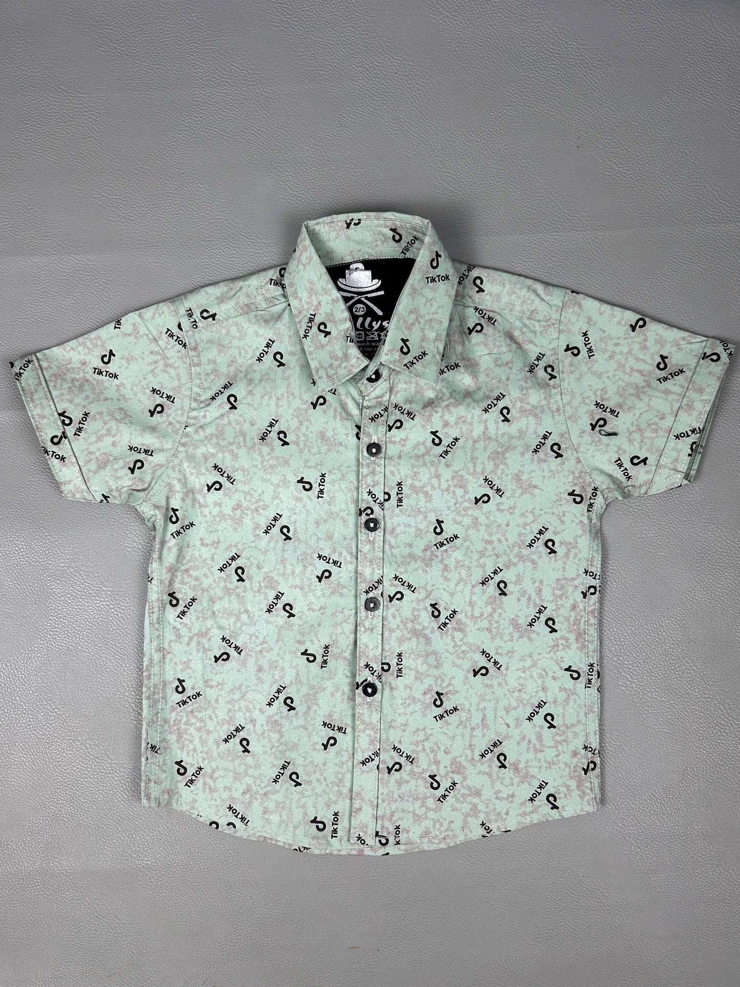 4Yrs - 8Yrs Mint Green Casual Shirt for Boys BCS45