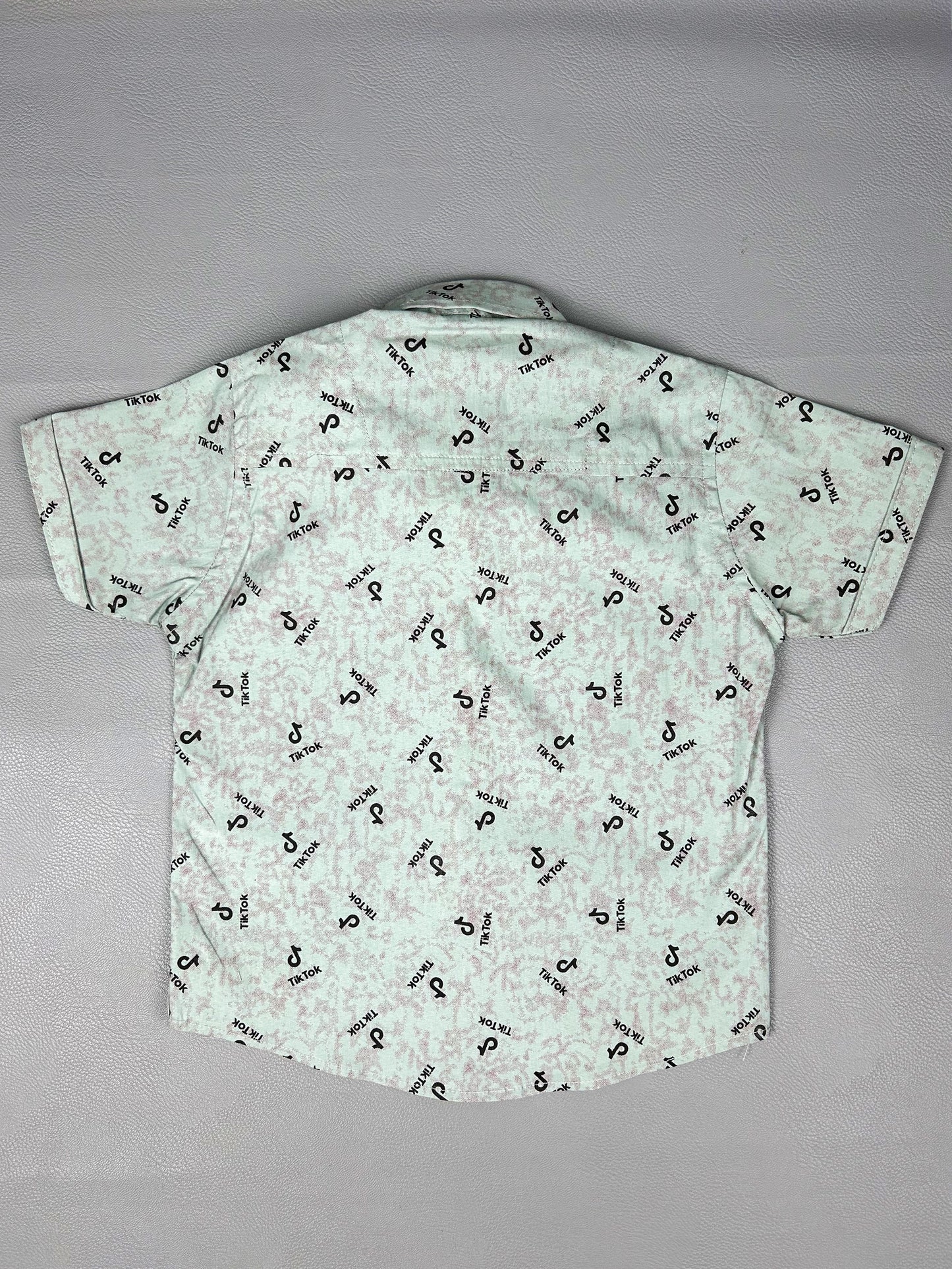 4Yrs - 8Yrs Mint Green Casual Shirt for Boys BCS45