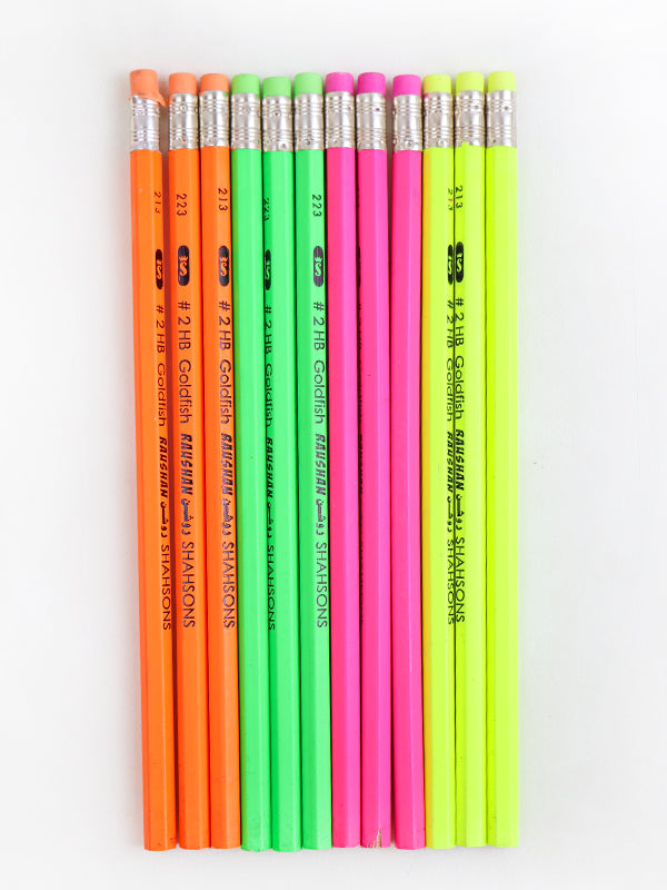 Pack of 12 Raushan Lead Pencils