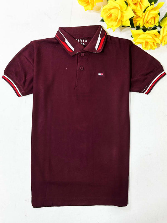 4Yrs - 8Yrs Maroon Polo T-Shirt For Boys BTS156