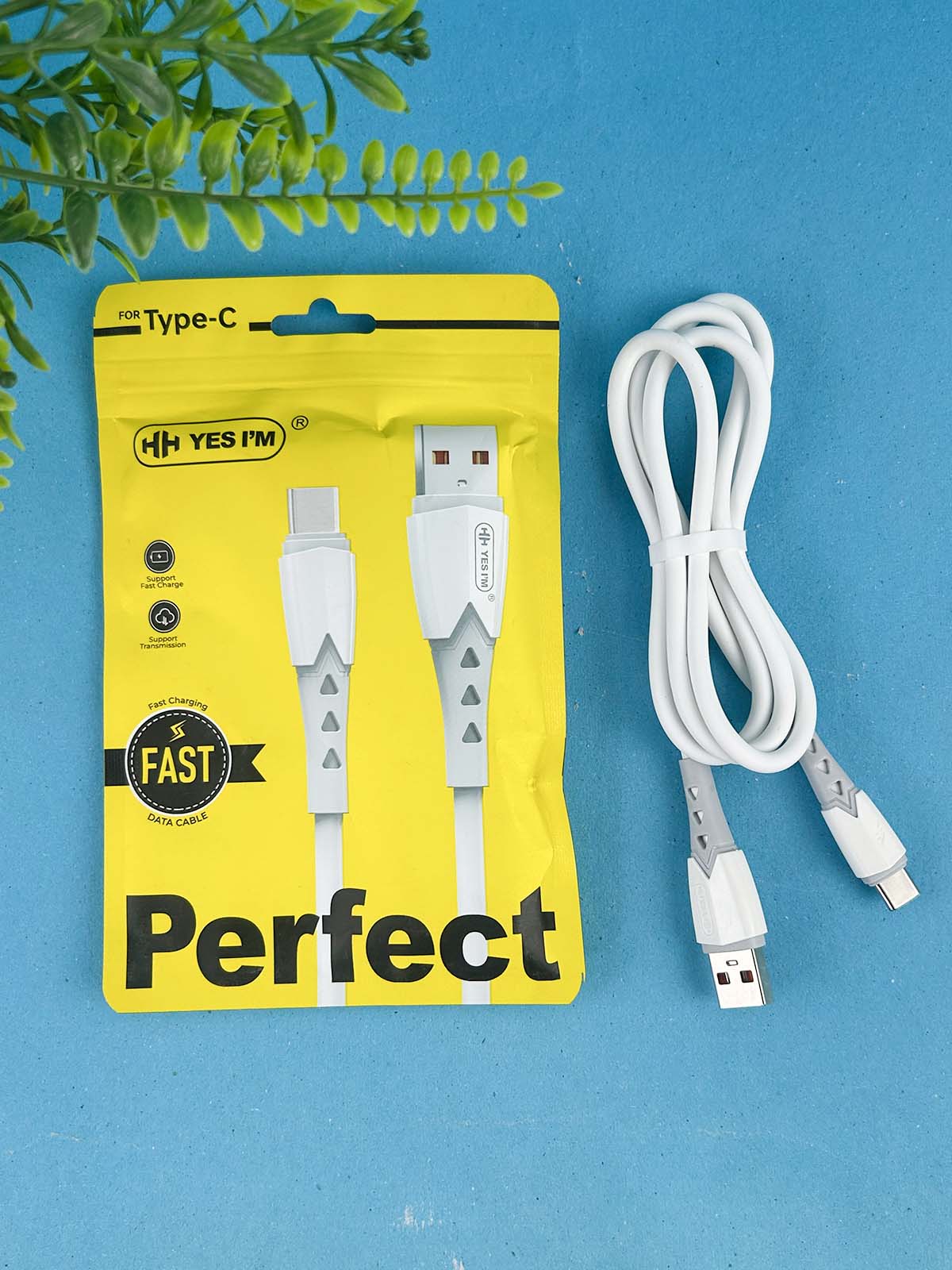 Perfect Type C Cable For Fast Charge MA101