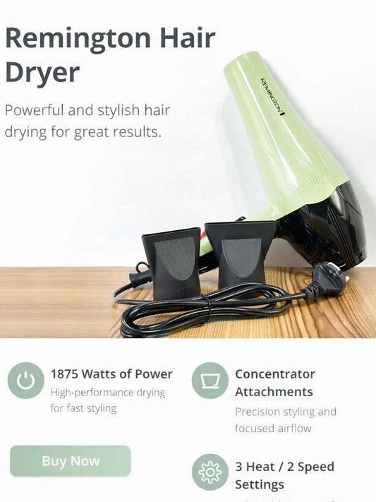 DR-3001 Professional Hair Dryer