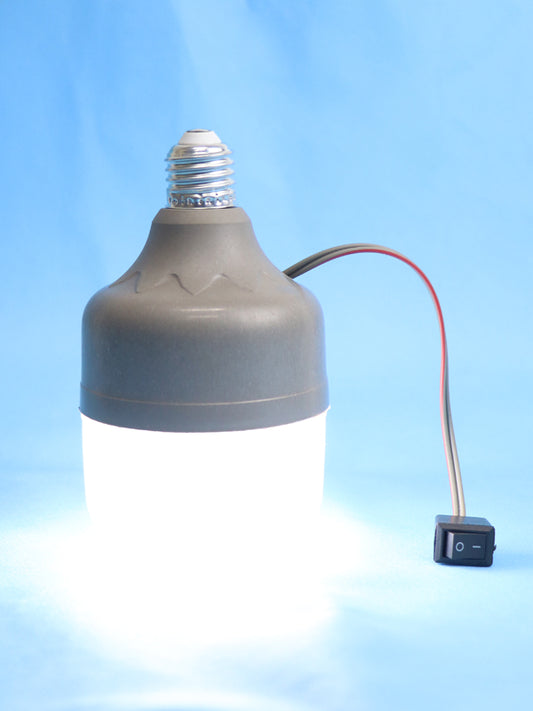 Rechargeable Emergency LED Light Bulb 14V - Screw Base