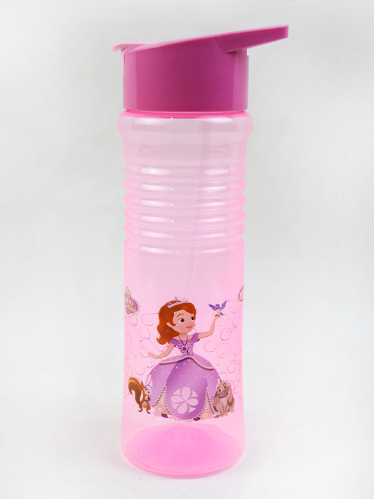 Plastic Transparent Water Bottle Cinderella Pink - 650ML