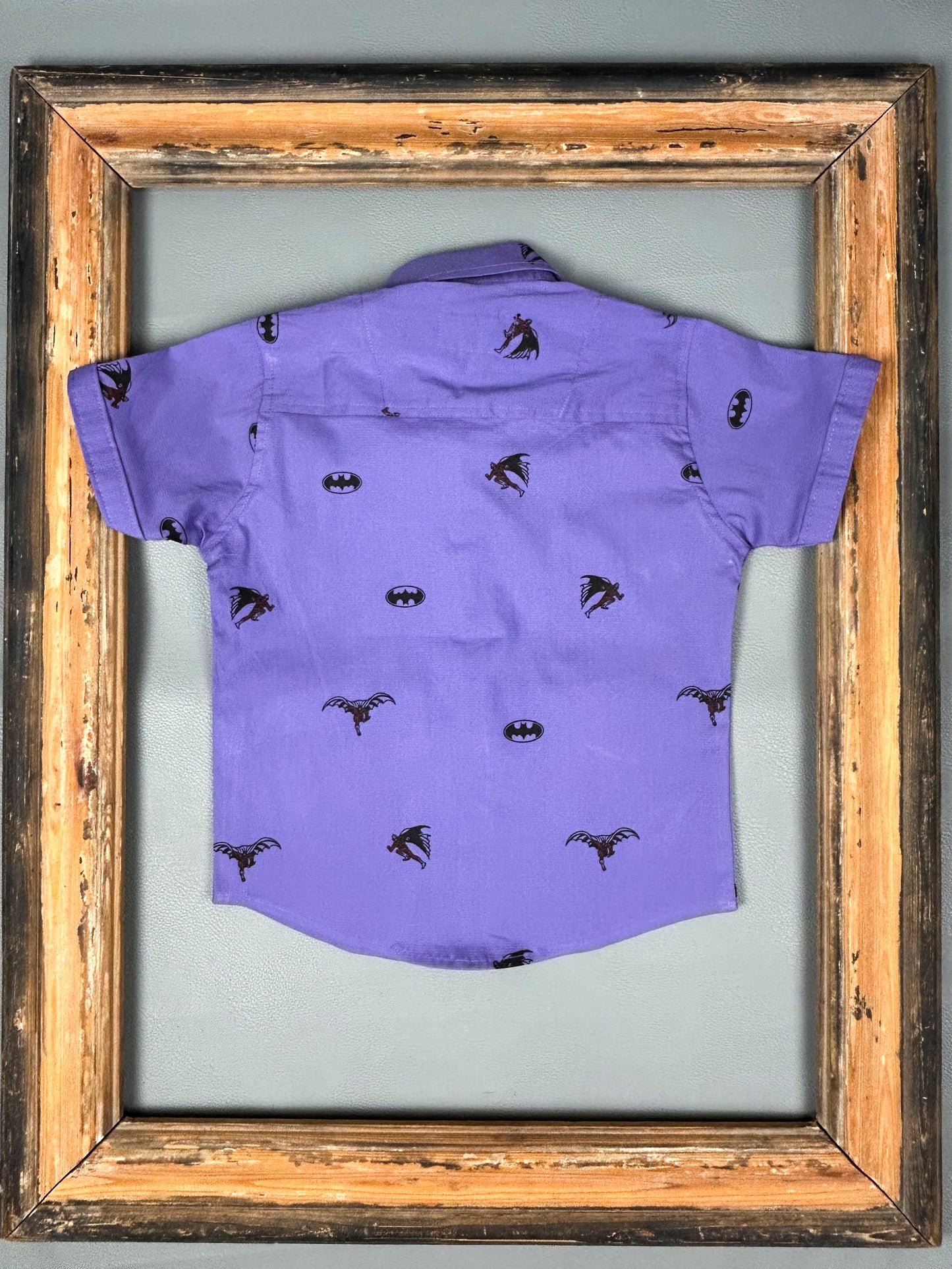 4Yrs - 8Yrs Light Purple Casual Shirt for Boys BCS50