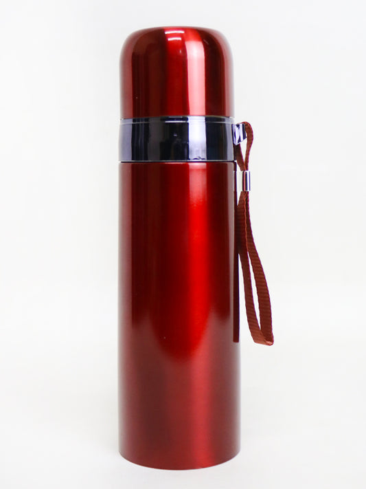 Stainless Steel Water Bottle (500 ML) - D12