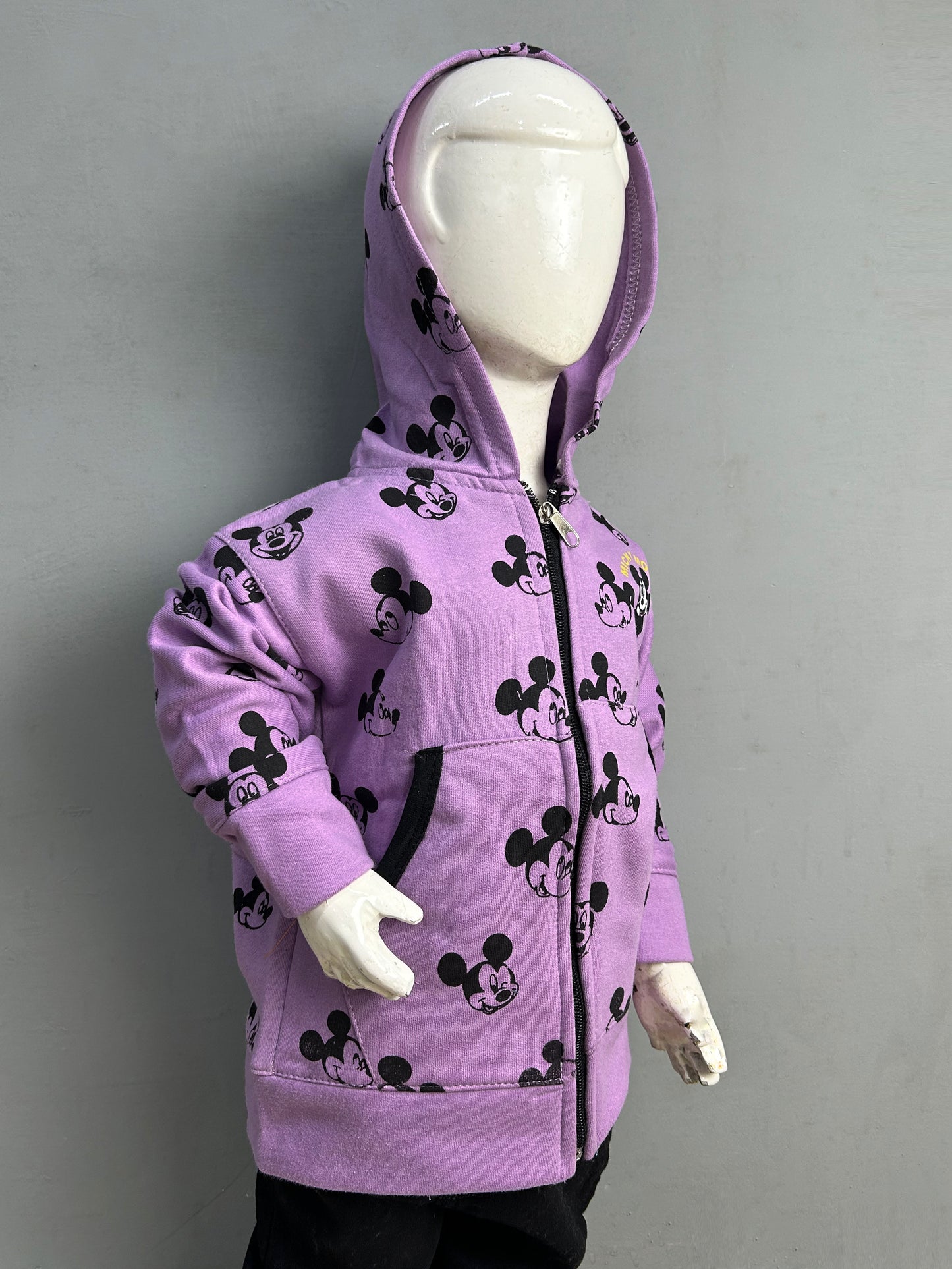 2.5Yrs - 6 Yrs Purple Girls Upper/Zipper TB GZU03