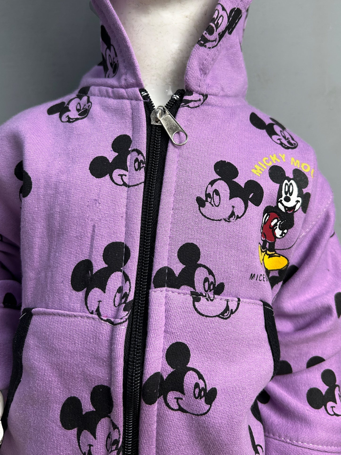 2.5Yrs - 6 Yrs Purple Girls Upper/Zipper TB GZU03