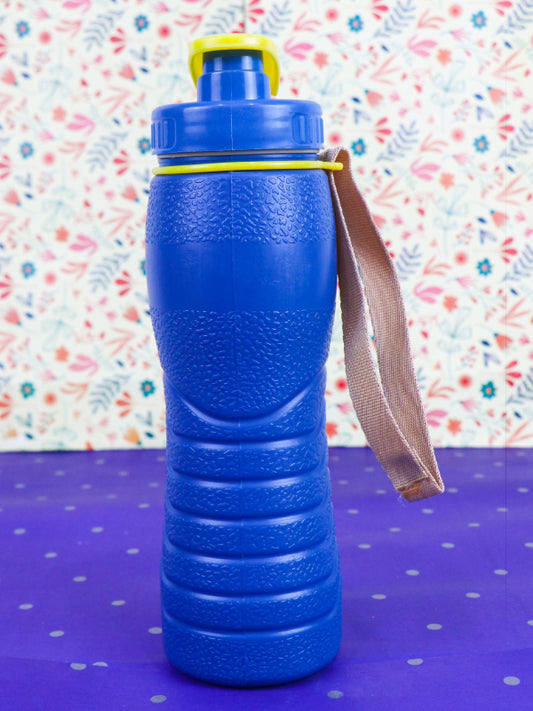 Blue Thermic Water Bottle - 500ML