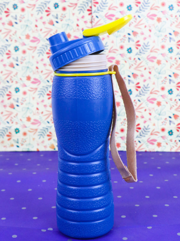 Blue Thermic Water Bottle - 500ML