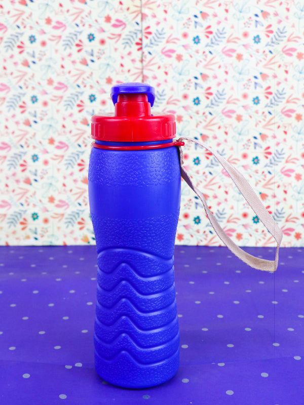 Purple Thermic Water Bottle - 500ML