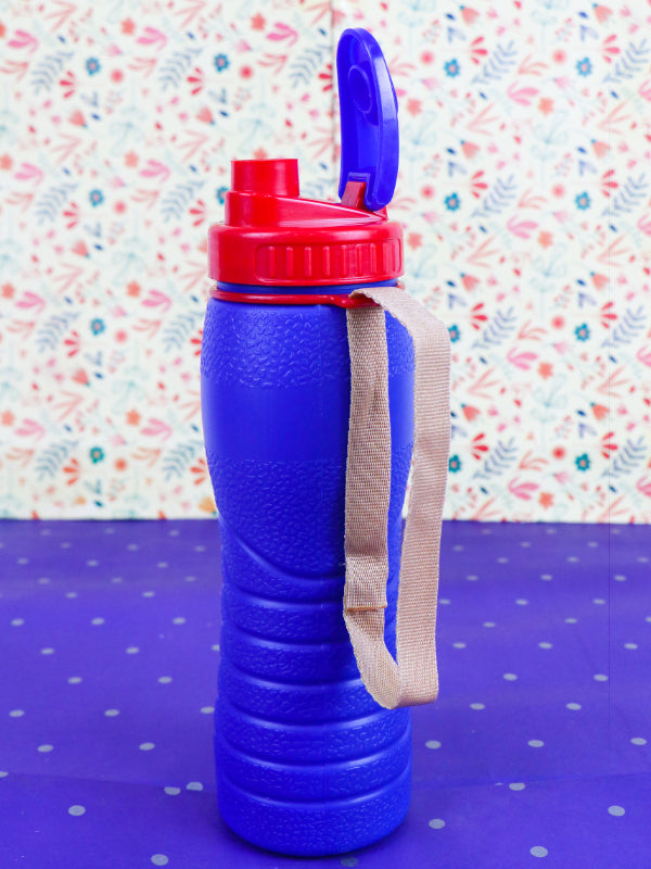 Purple Thermic Water Bottle - 500ML