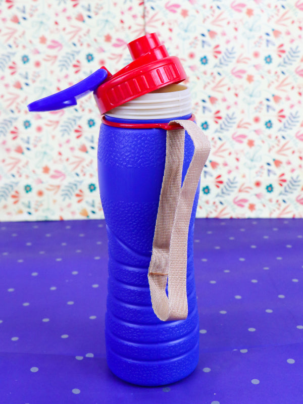 Purple Thermic Water Bottle - 500ML