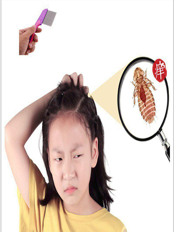 Long Pins Stainless Steel Anti Lice Comb - Multicolor