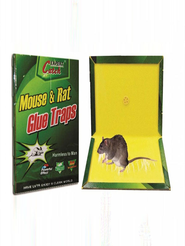 Sticky Mice Glue Trap Board