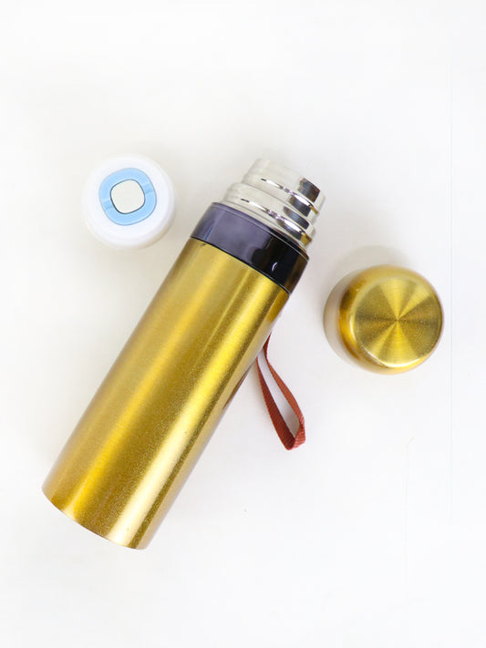 Stainless Steel Water Bottle (500 ML) - D13