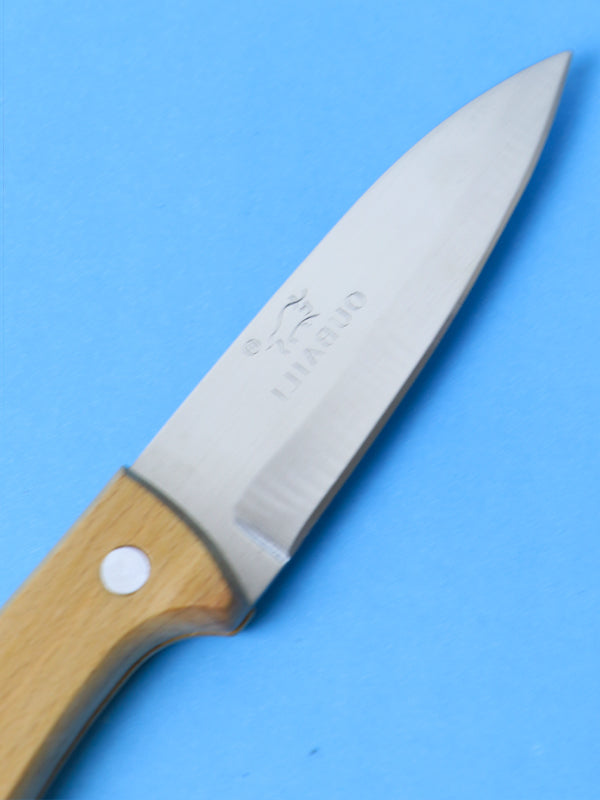06 - Stainless Steel Kitchen Knife