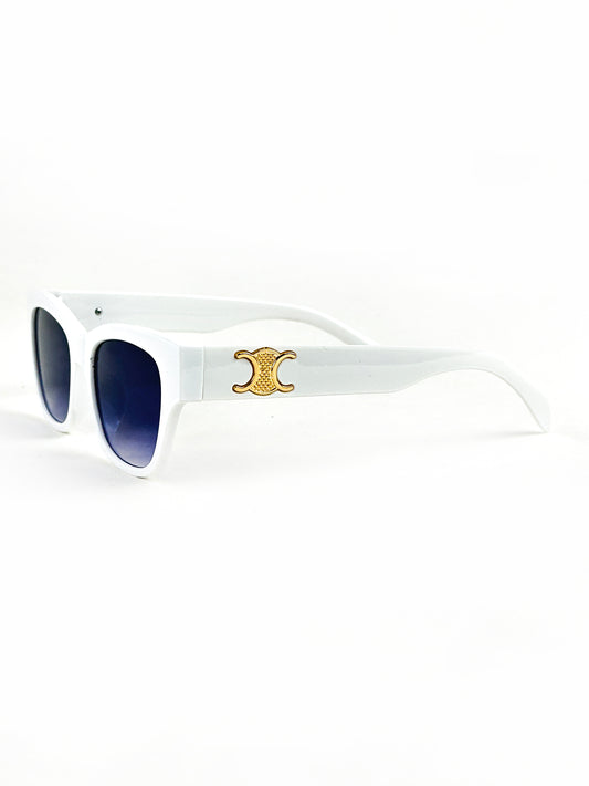 Men's Sunglasses Eyewear MSG02