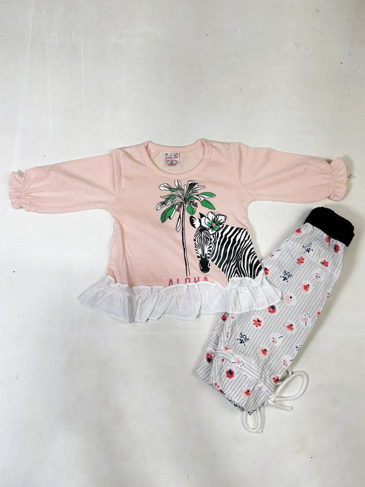 0Mth - 6Mth Zebra Pink Baby Suit For Newborns ZG NBS623