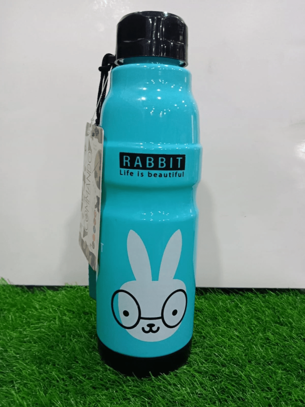 Cute Water Bottle Multidesign Ferozi  - 650ML